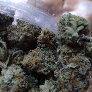 Meet your Posher, Kevin